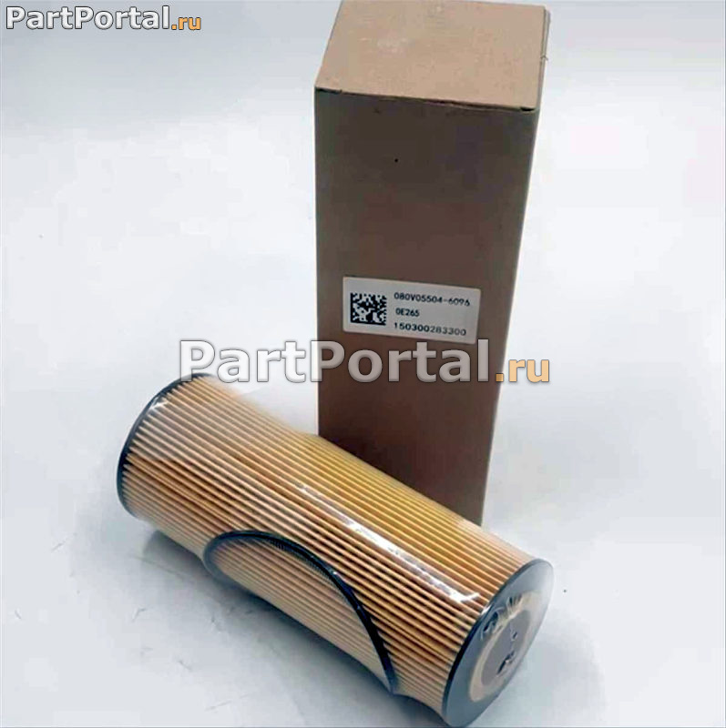 картинка 080V05504-6096 фильтр масла SITRAK от магазина partportal